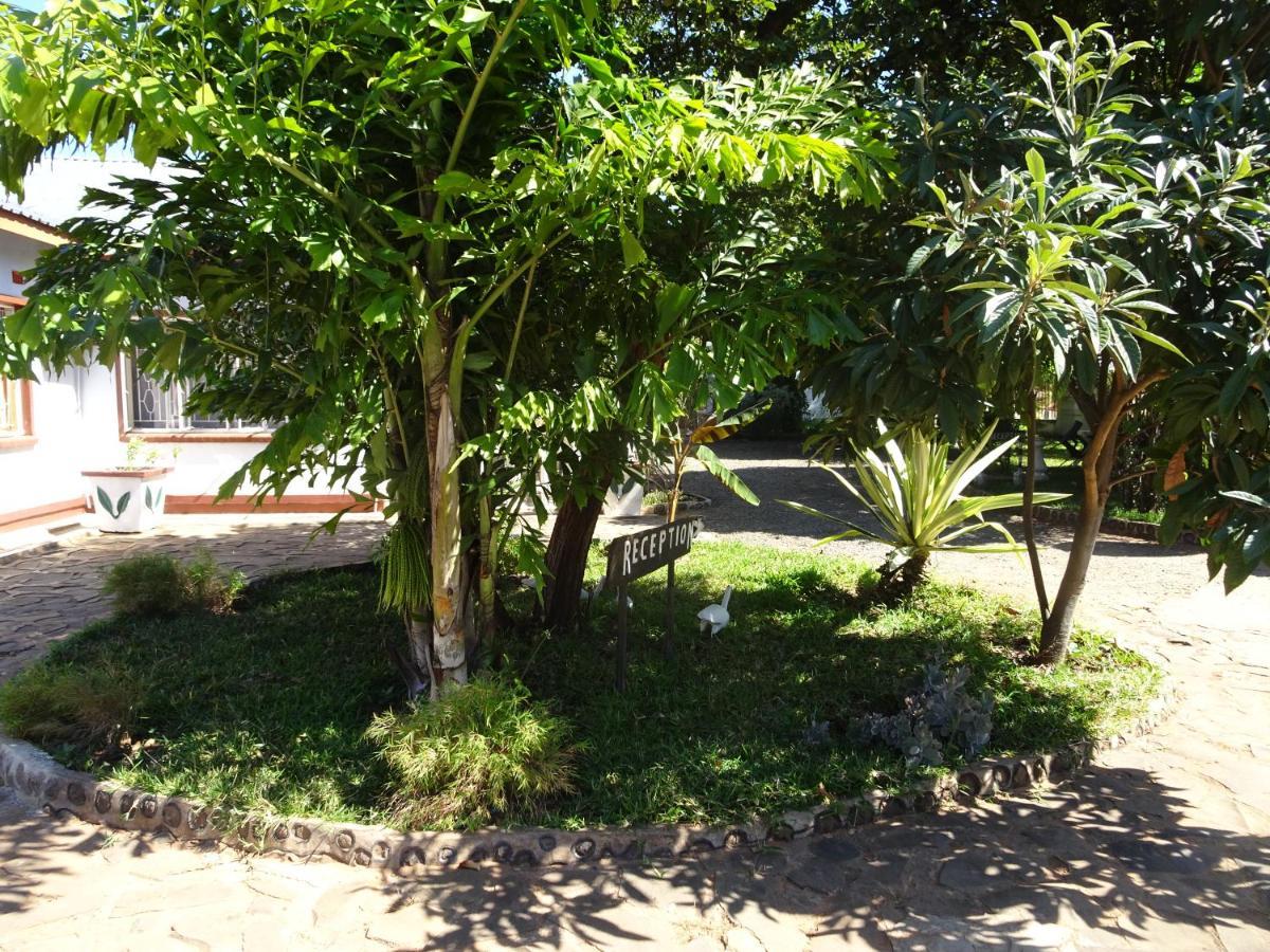 White Rose Lodge ลิฟวิงสโตน ภายนอก รูปภาพ
